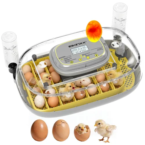 Miniatura 8 de Incubadora para incubar huevos: capacidad de 12 huevos, nuevo cambiador automático de huevos 2026, control de temperatura y humedad, visualización