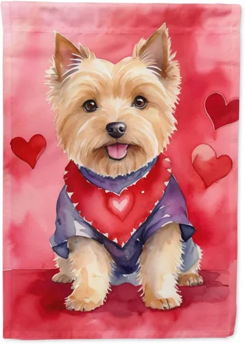 Miniatura 74 de Caroline's Treasures DAC5292CHF - Bandera de Border Collie My Valentine House para porche, grande, con manga para porche, para colgar en la pared