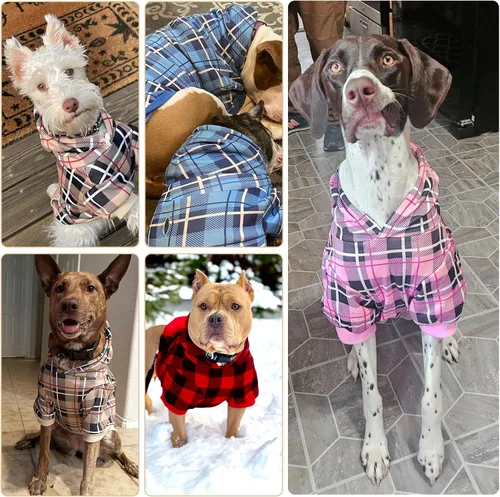 Miniatura 9 de EXPAWLORER - Sudadera con capucha para perro, estilo británico, suave y cálido con agujero para la correa, para clima frío, abrigo de invierno