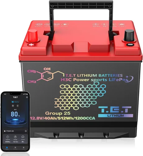 Miniatura 10 de TET - Baterías de arranque y parada para coche BCI Group 24, batería automotriz sin mantenimiento, 12.8 V, 60 Ah, 768 Wh 1500 CCA