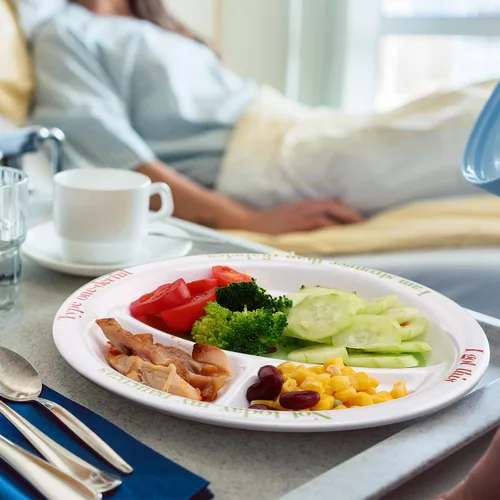 Miniatura 6 de Eaasty Placa de control de porciones para diabéticos, platos divididos para adultos con proteínas, carbohidratos y verduras, plato de dieta, platos