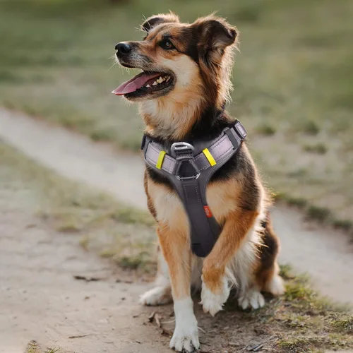 Miniatura 6 de Fida - Arnés resistente para perro, pechera para viaje, campamento o senderismo. Para perro pequeño, mediano y grande, con 2 bolsillos laterales