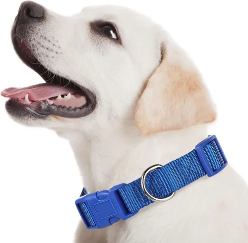 Miniatura 5 de 9 piezas de collar ajustable para perro, collar de nailon suave para mascotas con hebilla de liberación rápida a granel para perros, caminar