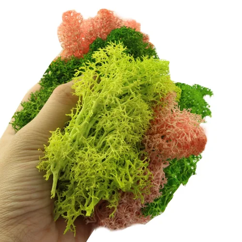 Miniatura 4 de XGNG Plantas de musgo preservado de 3.53 onzas de musgo de reno rosa, decoración de musgo, musgo verde para manualidades, musgo para plantas