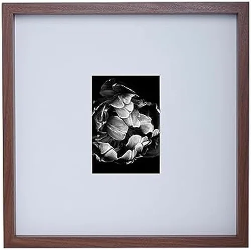 Mikasa Wood Gallery - Marco de pared de 15 x 15 pulgadas, mate a 5 x 7, 16 x 1.57 x 16 pulgadas, nogal