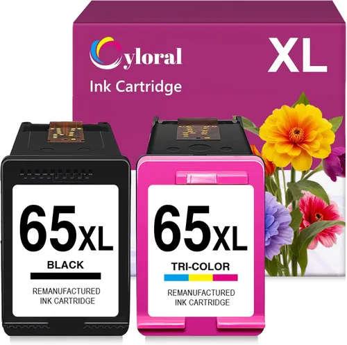 65XL Cartucho de tinta para HP Ink 65 XL DeskJet 2600 Deskjet 3700 3755 3720 3722 3723 3752 3758 3772 2652 2655 Envy 5055 5052 5058 Impresora