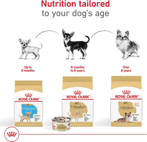 Miniatura 5 de Royal Canin Chihuahua Adulto 8+ Alimento deshidratado específico para raza para perros mayores, bolsa de 1.13 kg