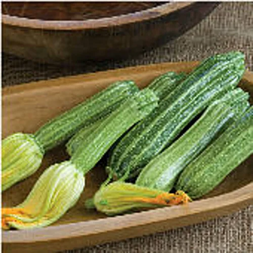 Semillas de calabaza Romanesco (paquete de 25 semillas) (más reliquia, sin OMG, vegetales, frutas, hierbas, semillas de jardín de flores en Seed
