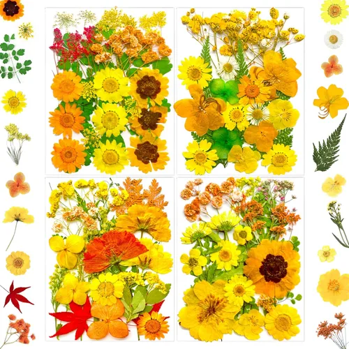Miniatura 7 de MIKIYA 90 piezas de flores secas prensadas negras para moldes de resina, hojas florales secas a granel naturales reales para manualidades de arte