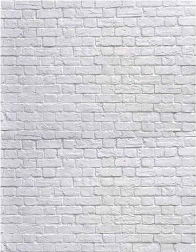 Fondo de pared de ladrillo blanco, fondo de fotografía de ladrillo blanco, fondo de fotografía de vinilo fino, accesorio de estudio 10931 (5x7FT)
