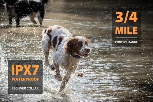 Miniatura 4 de PATPET Collar de choque de perro para 2 perros, collar E de rango de 3/4 millas para entrenamiento de perros con 3 modos de entrenamiento, collar
