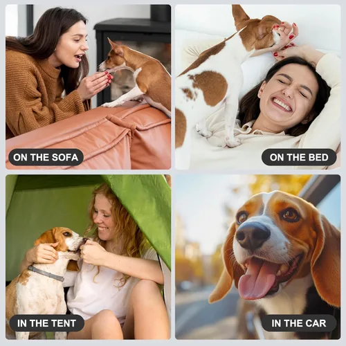 Miniatura 6 de wegreeco Pañales para perros pequeños machos, bandas reutilizables para el vientre para perros machos, pañales lavables para cachorros machos