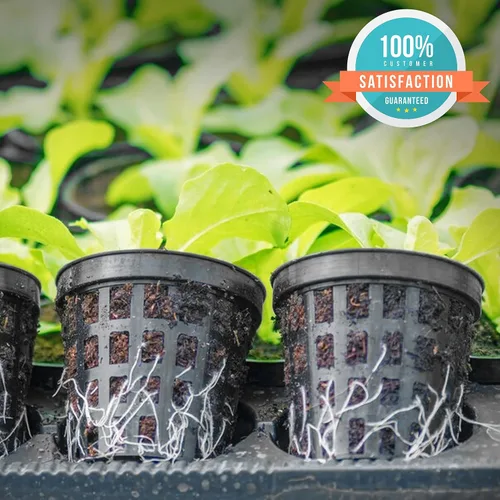 Miniatura 4 de KP Kool Products 2 pulgadas – Combo 25 – Macetas de red para plantas de interior y exterior – Pequeñas macetas de plástico para hidroponía – Cesta