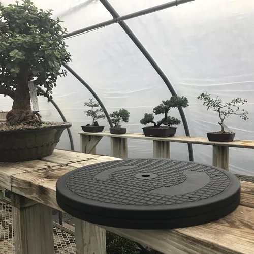 Miniatura 2 de Mighty Mini bonsái - Plataforma giratoria de árbol de bonsái con base de rodamientos de bolas de acero inoxidable de 12.5 pulgadas. Capacidad