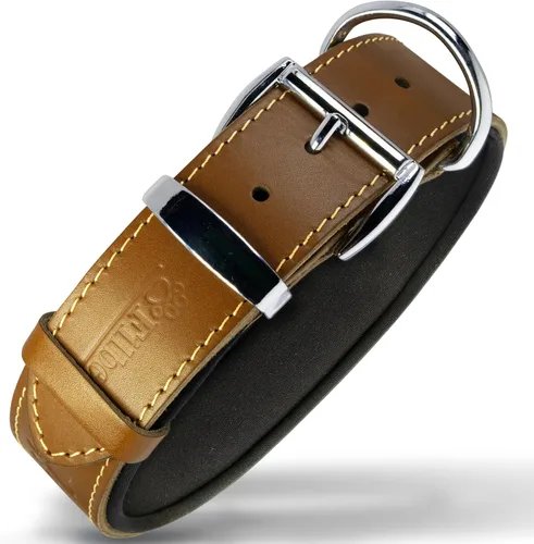 Miniatura 20 de Filbert Collar de cuero para perro, collar de cuero genuino para perros pequeños, estampado de patas en relieve con hebilla, grano completo curtido