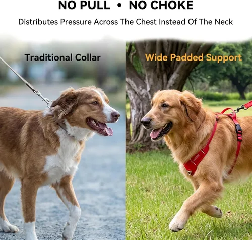 Miniatura 3 de Arnés para perro sin tirones, chaleco ajustable con clips de correa de metal delanteros y traseros, reflectante para paseos nocturnos seguros
