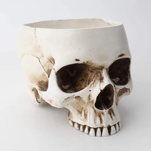 Miniatura 4 de Mikayoo Soporte para bolígrafo de calavera, soporte para brochas de maquillaje, soporte para bolígrafos, tocador, escritorio de oficina, caja