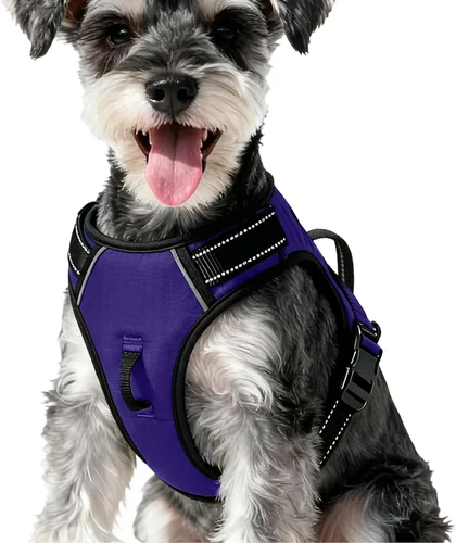 Miniatura 11 de Arnés para perro sin tirones, chaleco reflectante ajustable y acolchado para mascotas con asa de fácil control, fácil de llevar con nudo elegante