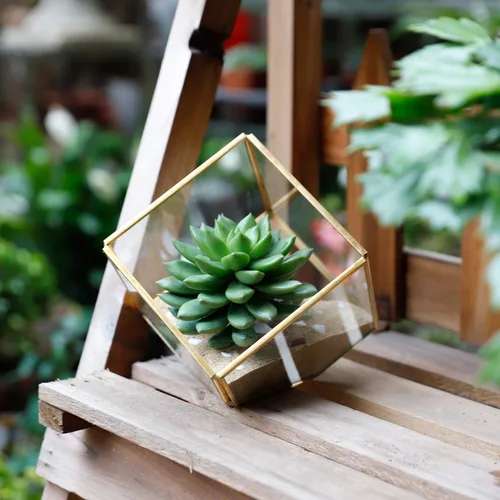 Miniatura 6 de ELEGANTLIFE Terrario de Plantas Geométrico de Cristal, Macetas para Suculentas y Plantas de Aire para Decoración de Hogar, Jardín, Oficina
