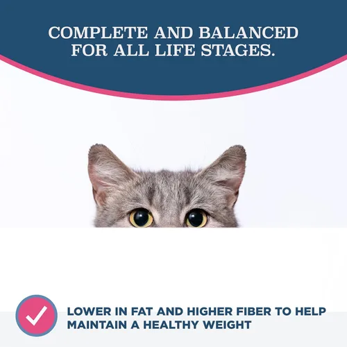 Miniatura 3 de Blackwood Alimento seco para gatos, fórmula para adultos, receta de harina de pollo y arroz integral, bolsa de 4 libras, alta en proteínas, cocción