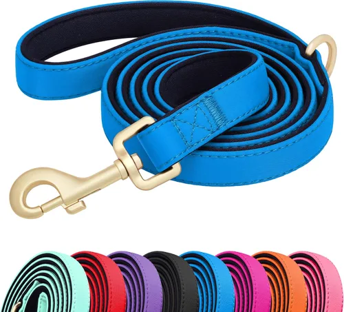 Miniatura 14 de Didog Correa para perro de nailon colorido de 5 pies con acolchado suave de longitud completa, ligera y duradera para perros pequeños, negro, S