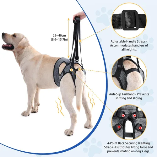 Miniatura 2 de LIANZIMAU Arnés de elevación ajustable para perros grandes, soporte de pierna trasera, soporte de elevación para perros mayores, soporte de Gris