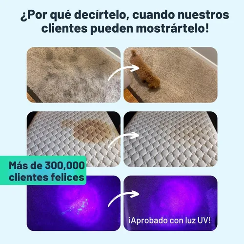 Miniatura 2 de Solución y desodorante Carpet Miracle para limpiar alfombras para Hoover, Bissell, Rug Doctor, Kenmore
