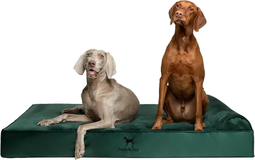 Miniatura 21 de NOAH & PAW Cama para perro, 28x23x7.5 pulgadas, camas ortopédicas para perros de tamaño mediano, espuma viscoelástica tipo cáscara de huevo Cuero