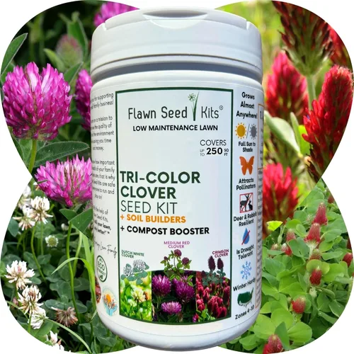 Miniatura 10 de Flawn Seed Kits Kit de semillas de trébol tricolor, esparcidor fácil de esparcir, bajo mantenimiento, cubierta de suelo alternativa, cubre hasta