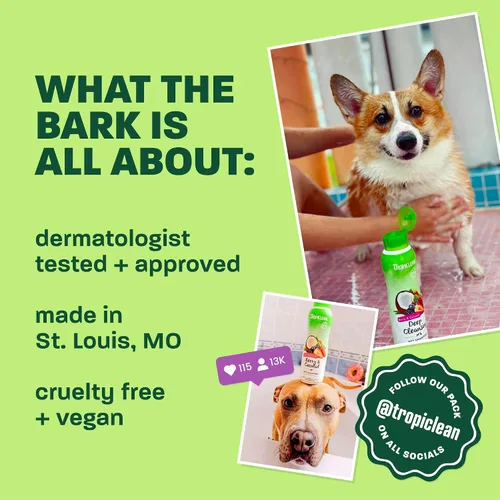 Miniatura 5 de TropiClean Champú sin enjuague sin agua para gatos Tratamiento para la caspa Champú seco hidratante para pieles secas Fabricado en EE. UU.