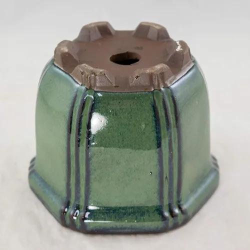 Miniatura 5 de Maceta Shohin para bonsái con malla, hexagonal, color verde oscuro, 4.25 x 4.25 x 3.25 pulgadas