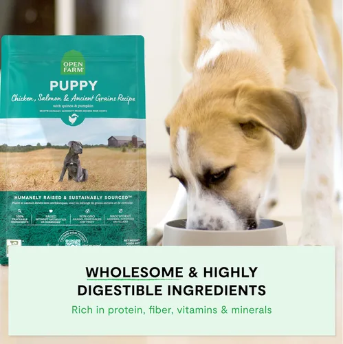 Miniatura 4 de Open Farm, Alimento seco para cachorros con granos antiguos, rico en proteínas y nutrientes, 90% de proteína animal mezclada con frutas, verduras