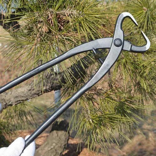 Miniatura 4 de Fdit Cortador de rama, cortador profesional del bonsái los 27cm10.63in incisivo para el jardín