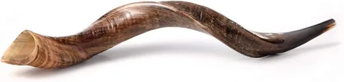 Miniatura 5 de Auténtico shofar yemenita Kudu – Sonido Resonante Profundo (30"-32") – Juego completo con bolsa de menorá, guía y caja de transporte – Hecho a mano