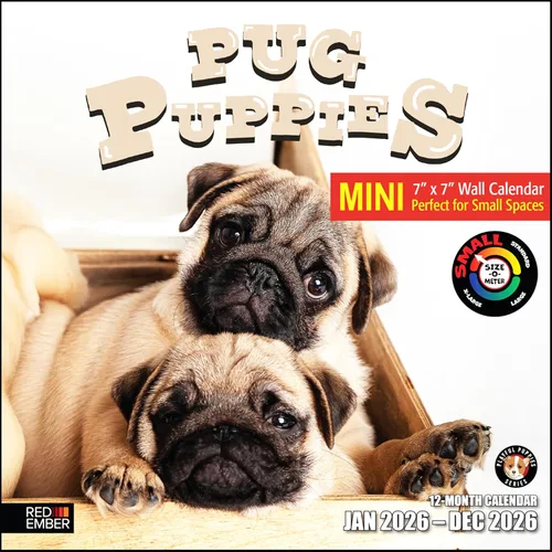 Miniatura 10 de RED EMBER Calendario de pared 2025 con diseño de cachorros de 12 meses, 12 x 24 pulgadas, abierto, papel grueso y resistente, para regalo