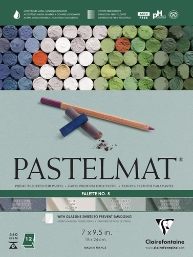 Clairefontaine Pastelmat - Papel especial para pastel (encolado, 18 x 24 cm) - Paleta No. 5 - 360 g - 12 hojas - Verde oscuro, verde claro, blanco,