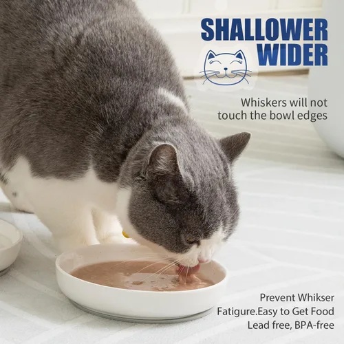 Miniatura 2 de Lusifaco - Cuencos poco profundos para comida de gato, tazón de cerámica de 5.9 pulgadas de ancho para gatos de interior, juego de platos para gatos
