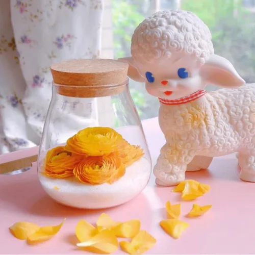 Miniatura 2 de HOMSFOU Tarro redondo de vidrio para plantas, terrario, mesa, suculentas, bolas, jarrón, botella de deseos, tarro de galletas de caramelo con tapa