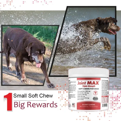 Miniatura 9 de PHS Joint Max Triple Strength (TS) Masticables suaves para perros, glucosamina, condroitina, MSM, cúrcuma, Omega 3, alivio del dolor de cadera