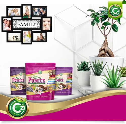 Miniatura 7 de Piedra Pómez para Medios de Cultivo - Fabricada en EE. UU. para Bonsáis • Suculentas • Cactus • Orquídeas - Aditivo Acondicionador de Enmienda