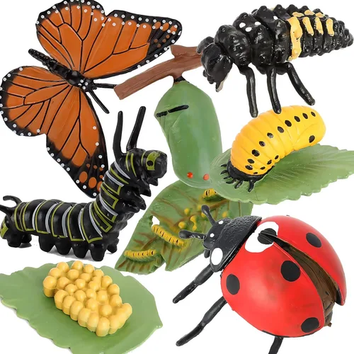 Gemini&Genius Juego de figuras de animales de insectos, mariposa y mariquita, juego de ciclo de vida de insectos educativos realistas, ideal para