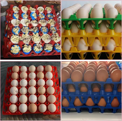 Miniatura 7 de 8 cajas de plástico para huevos para 30 huevos, cajas apilables para huevos con capacidad para múltiples huevos para granjeros de pollos domésticos