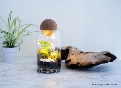Miniatura 2 de Terrarios de vidrio con tapa de madera hermética (corcho de bola) Macetas de terrario cerradas Recipientes para botellas de vidrio transparente