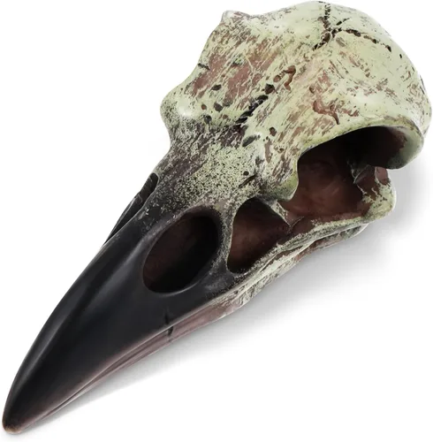 Geetery 1 Pcs Figurina de Calavera de Cuervo de Halloween Carroñero Gótico Escultura de Pared Colgante Estatua de Calavera de Cuervo de Resina para