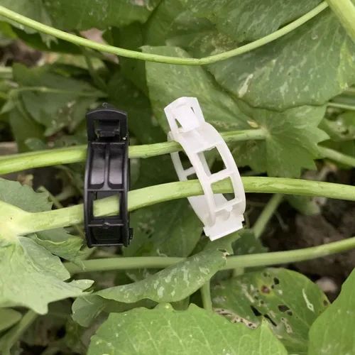 Miniatura 4 de 100 clips de soporte para plantas de jardín, clips de tomate, lazos para plantas, clips de enrejado, clips de enrejado para plantas de vid de Negro