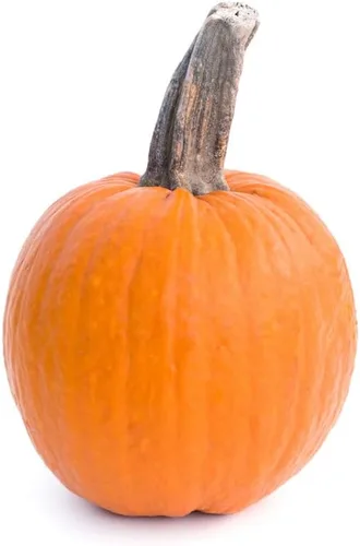Miniatura 3 de Pastel de calabaza y azúcar (30 semillas)