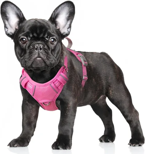 Miniatura 50 de BARKBAY Arnés para Perro Sin Tirones Talla Grande Arnés Reflectante para Perro con Clip Frontal y Asa de Control Fácil para Caminar Entrenar Correr
