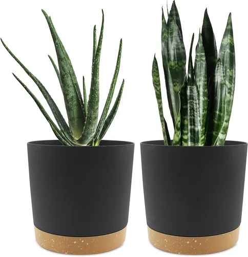 Miniatura 17 de QCQHDU Maceta de 8 pulgadas, paquete de 2 macetas para plantas de interior con agujeros de drenaje y platillo, macetas para exteriores, decoración