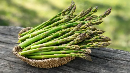 Espárragos - 'Mary Washington'50+ Semillas fáciles de cultivar, sabrosas plantas perennes que rinden durante años