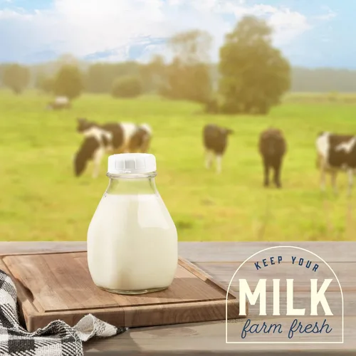 Miniatura 4 de kitchentoolz Botella de leche de vidrio de 16 onzas con tapa y boquilla de vertido, recipiente pequeño para crema de vidrio para refrigerador